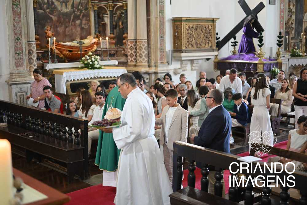 CT_0254